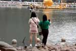 中国深圳の名所を4Kで見る